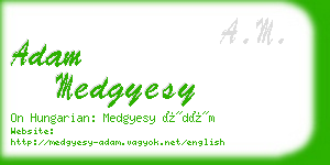 adam medgyesy business card
